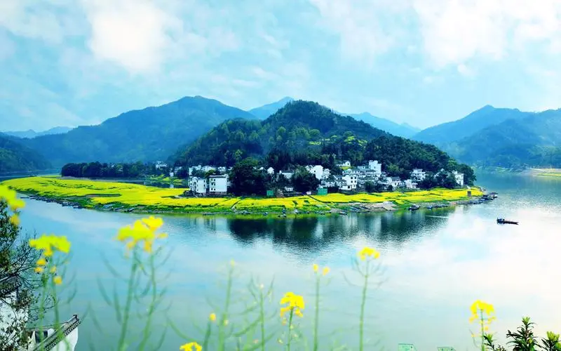 先进高端
